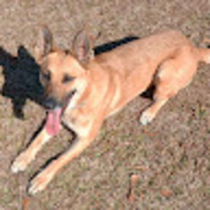 Meet your Posher, Britton